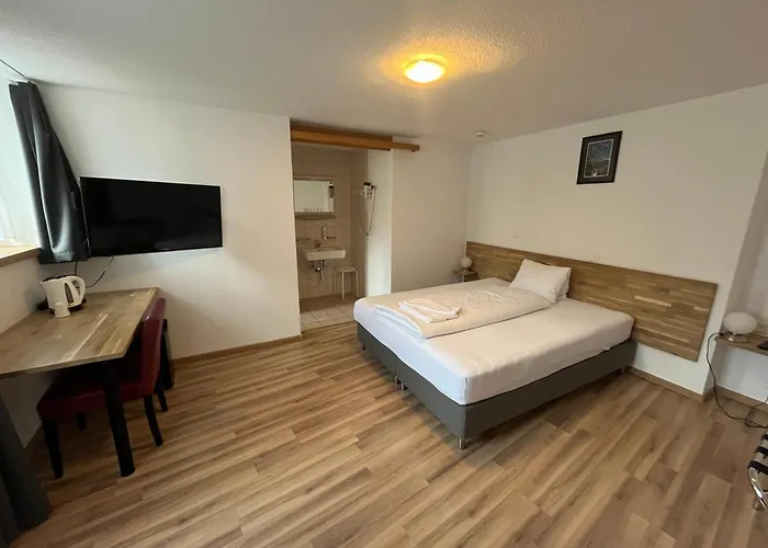 ドライ ケーニゲ ホテル 3*